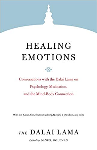 Healing Emotions: Conversations with the Dalai Lama on Psychology, Meditation, and the Mind-Body Connection - Epub + Converted Pdf